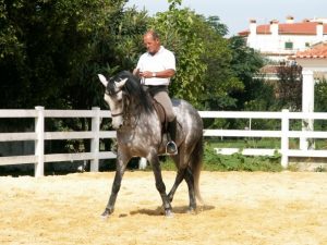 Michel Lerpinière au Portugal essayant pour la 1ère fois le futur cheval de Caty
